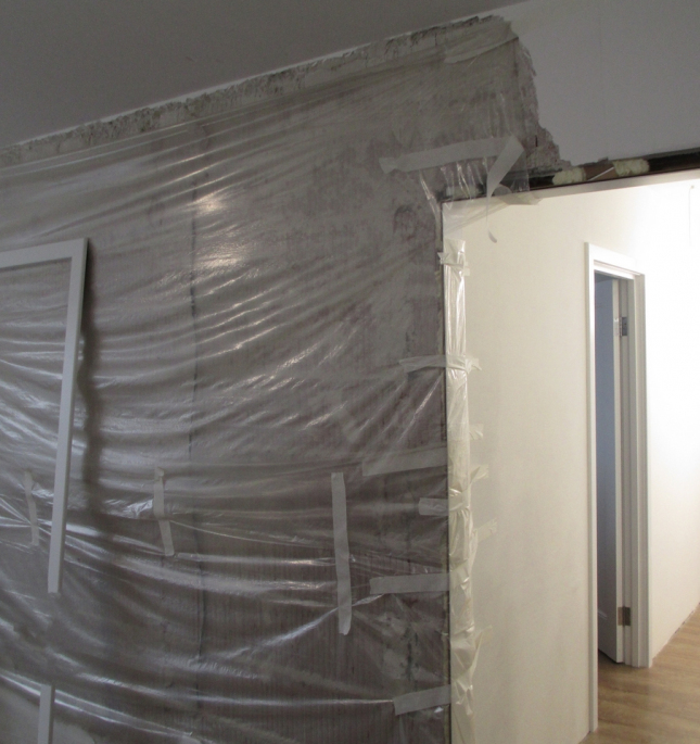 Экспертиза качества работ