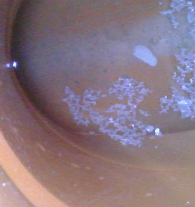 Экспертиза канализации