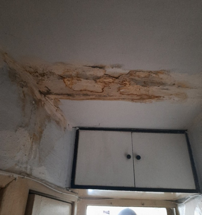 Экспертиза протечек в квартире