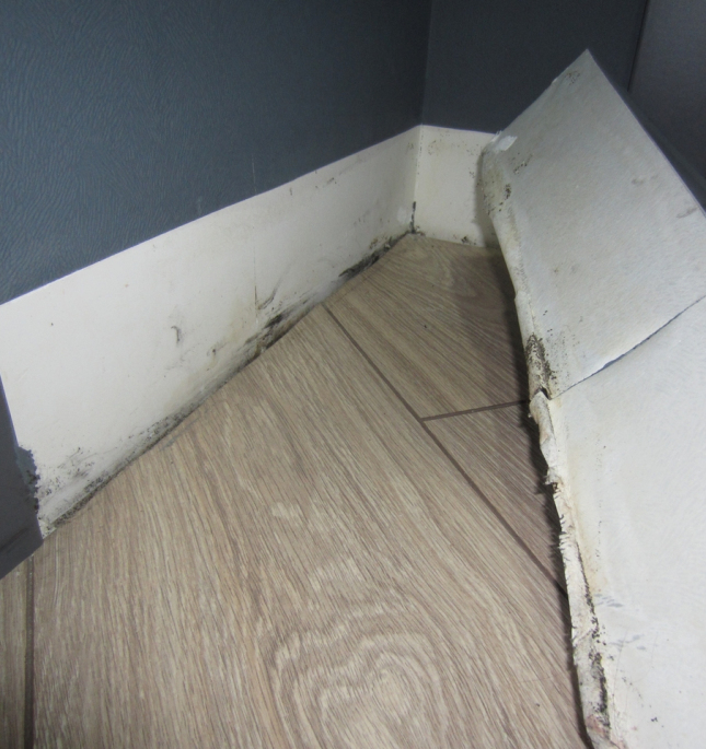 Оценка квартир. Экспертиза