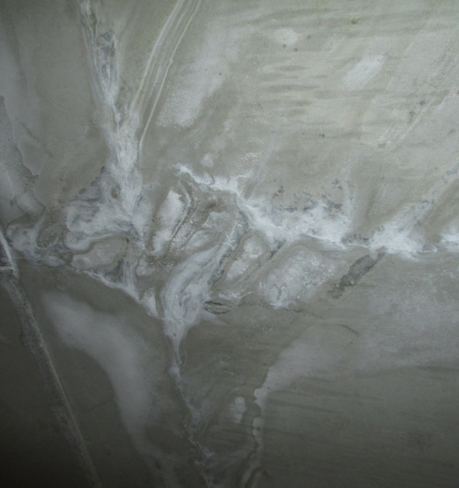 Пожарно-техническая экспертиза