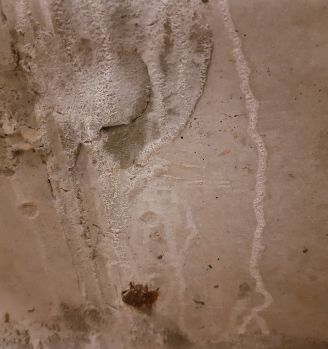 Судебная оценка недвижимости