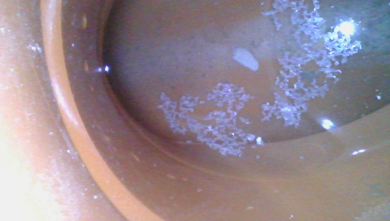 Экспертиза канализации