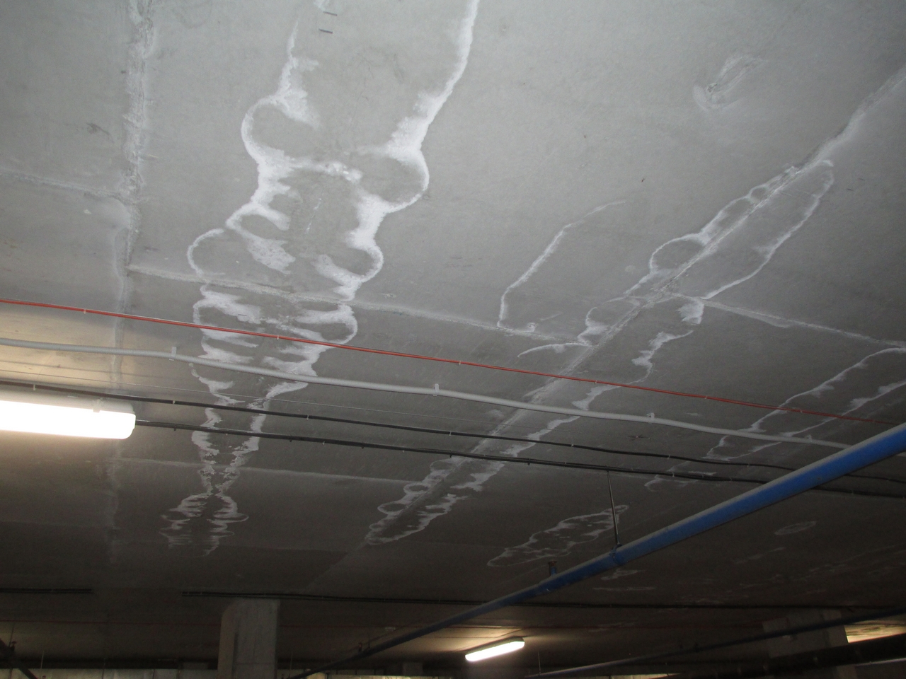 Экспертиза парковки