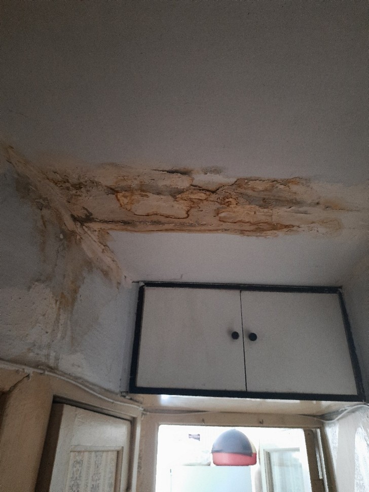 Экспертиза протечек в квартире