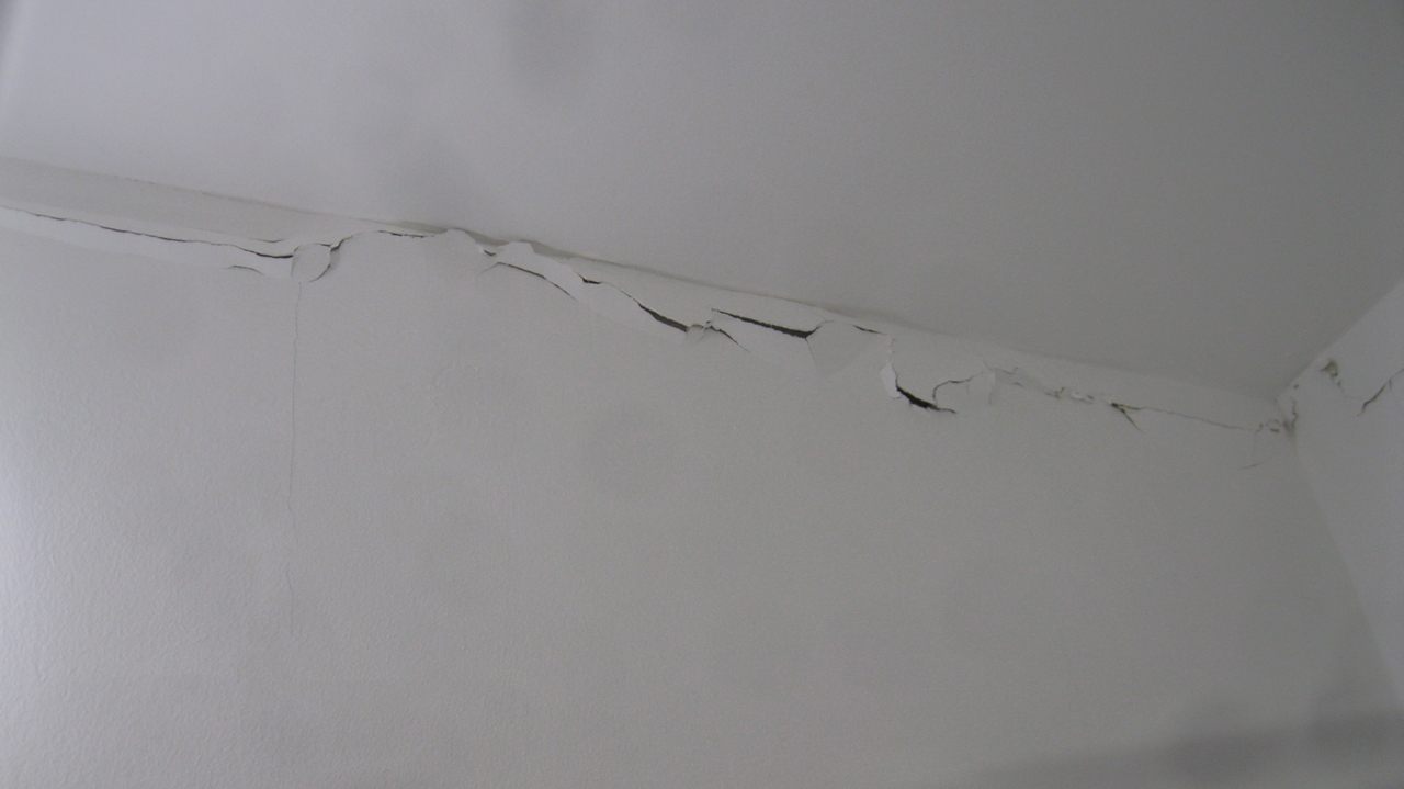 Экспертиза шума