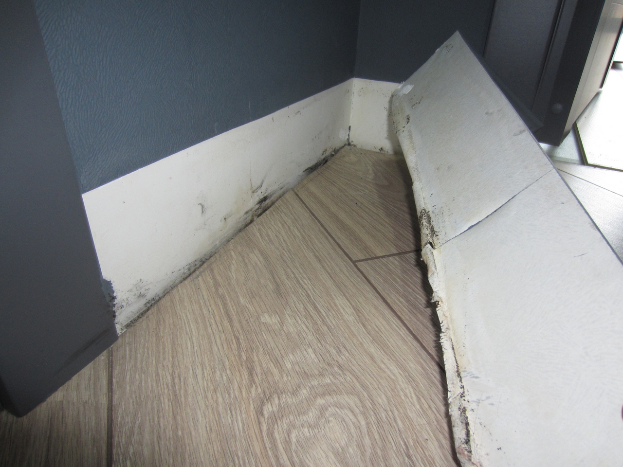 Оценка квартир. Экспертиза