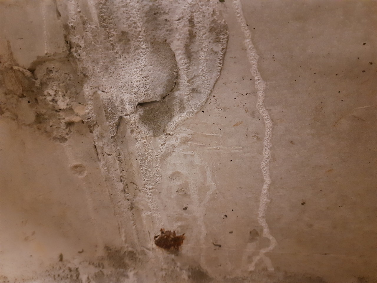 Судебная оценка недвижимости